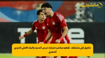 دقائق أولى مشتعلة.. تغطية مباشرة لمباراة حرس الحدود والبنك الأهلي بالدوري المصري